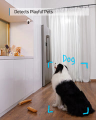 Indoor Cam E220